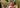 Faster Review • Matt Moy