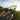 A hand holds up a pair of eyeglasses outdoors during sunset, with a blurred dog and grassy background in soft focus.