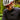 Athlete wearing Density sunglasses