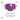 Julbo SPECTRON 4 ski goggles with a dark magenta and purple gradient lens, shown on a white background with sun icons and descriptive text. #color_blue-black-with-spectron-4-lens