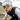 A cyclist wearing a white helmet, Julbo Eyewear Intensity cycling sunglasses with photochromic lenses, and a black vest rides outdoors in a mountainous area.