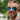 A bearded man with spiky blond hair smiles outdoors wearing Julbo Eyewear Legacy sunglasses, which feature reflective blue lenses showing a lively street scene.