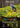 A mountain biker rides through a field of yellow flowers, with text promoting Spectron HD lenses and their visual clarity, contrast, coating, and impact resistance.