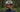 New Julbo Athlete Haley Batten