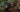 Julbo Athlete Max Morgan Racing Downhill MTB