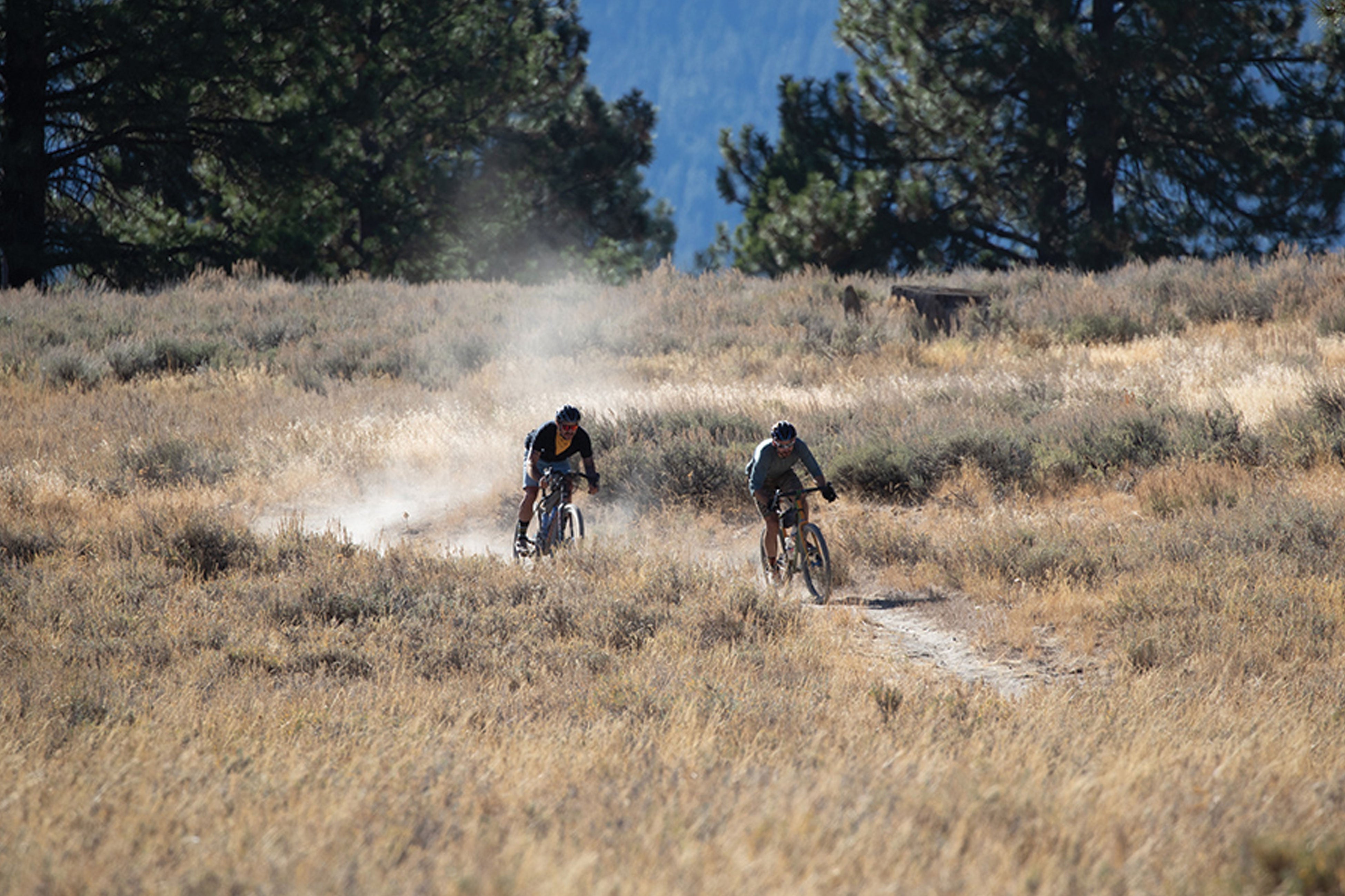 Yuri Hauswald gravel biking in the Sierra Nevada mountains