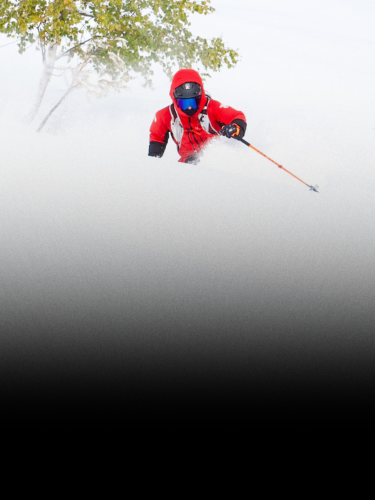 A skier in a red jacket and goggles moves through deep snow with a tree visible in the background.